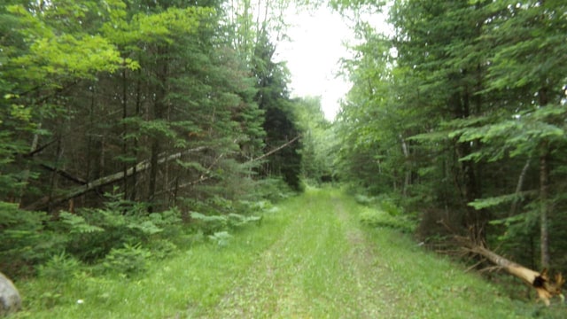 W16252 Butternut Rd, Antigo WI, 54409 land for sale