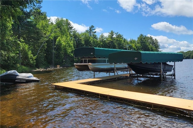 dock area with a water view