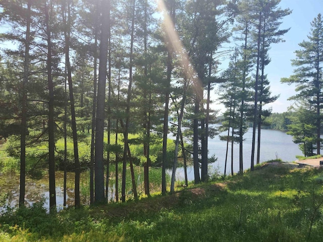 LOT1 S Bluff Trl, Wisconsin Rapids WI, 54494 land for sale