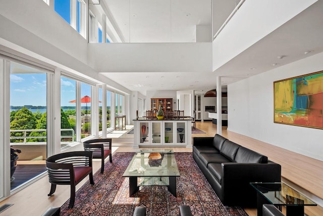 living room with a high ceiling and hardwood / wood-style floors