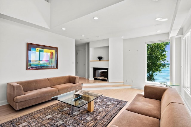 living room featuring light hardwood / wood-style floors