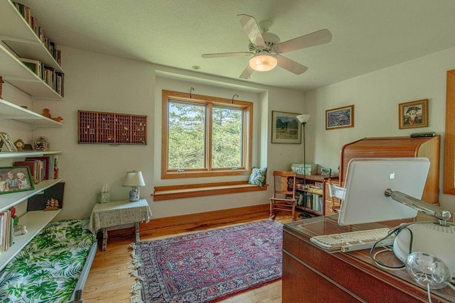 office featuring ceiling fan and light wood-type flooring