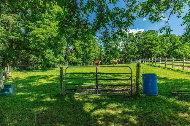 view of gate with a yard and a rural view