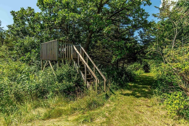 view of jungle gym