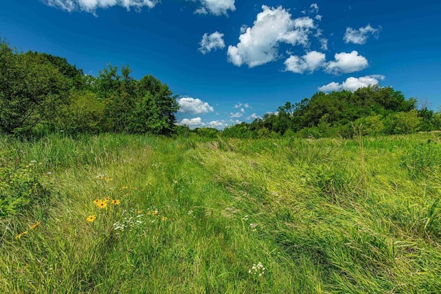 view of landscape