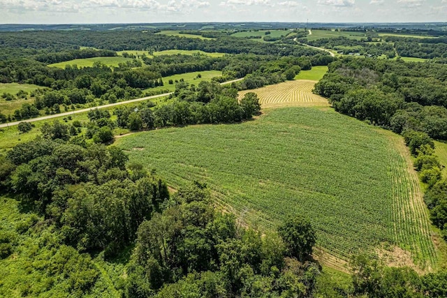 birds eye view of property with a rural view