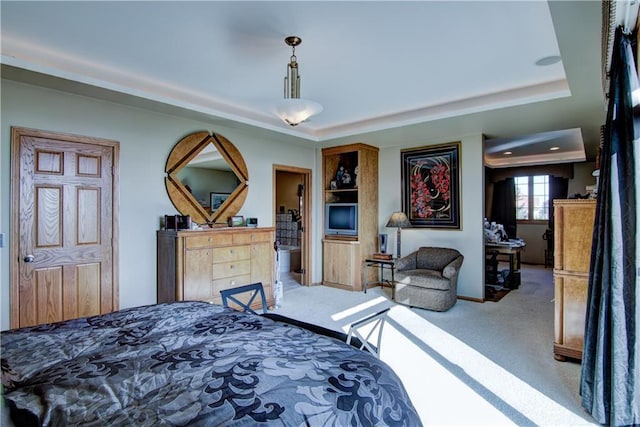 carpeted bedroom featuring a tray ceiling