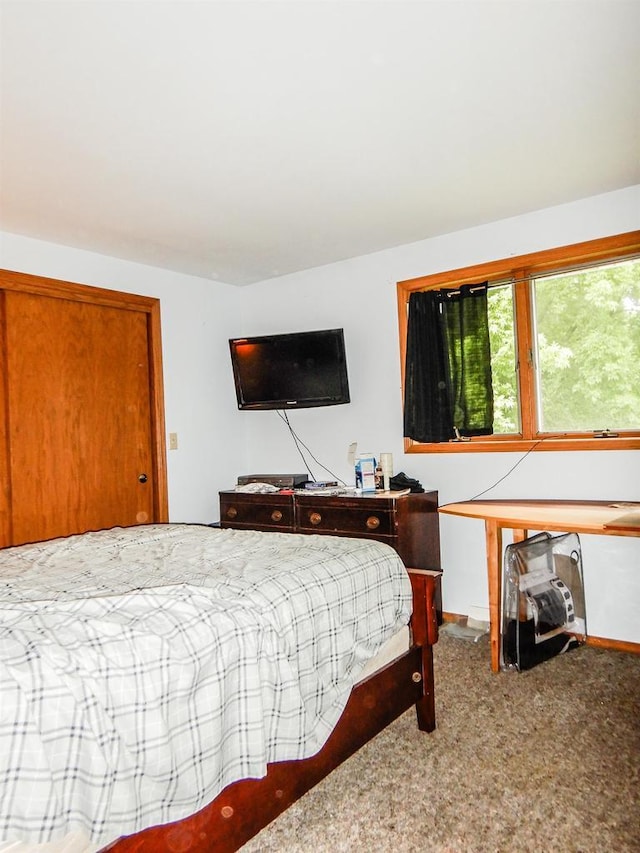 441 Washington St, Oconto, WI 54153 - view of carpeted bedroom