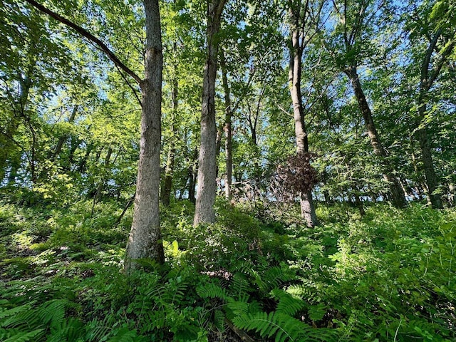 5292 Stenner Hill Rd, Boscobel, WI 53805