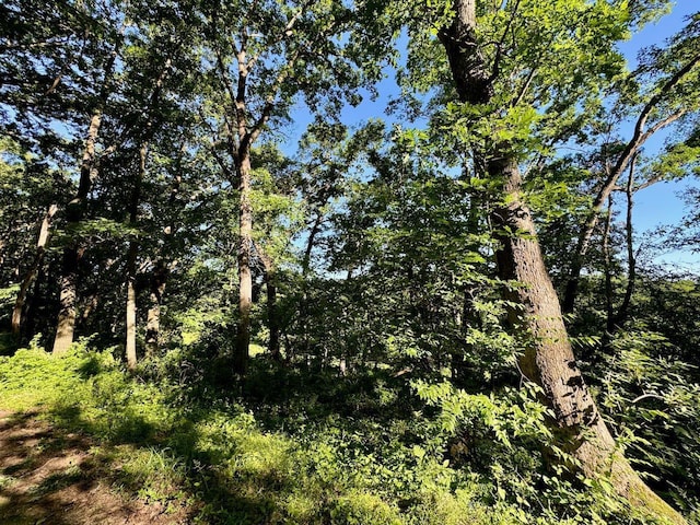 5292 Stenner Hill Rd, Boscobel, WI 53805