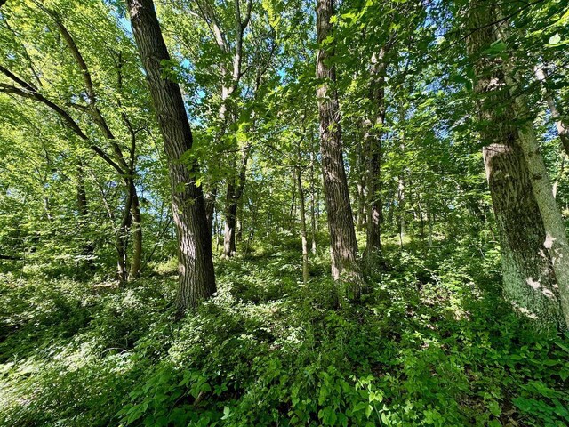 5292 Stenner Hill Rd, Boscobel, WI 53805