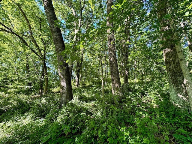 5292 Stenner Hill Rd, Boscobel, WI 53805