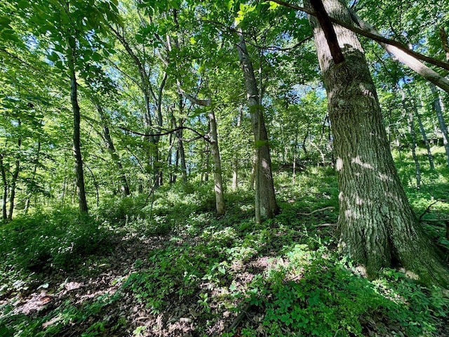 5292 Stenner Hill Rd, Boscobel, WI 53805