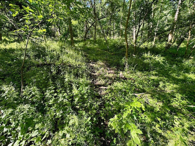 5292 Stenner Hill Rd, Boscobel, WI 53805