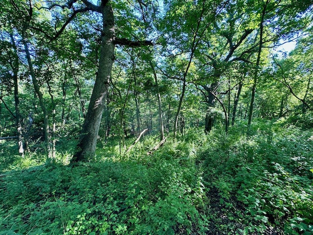 5292 Stenner Hill Rd, Boscobel, WI 53805