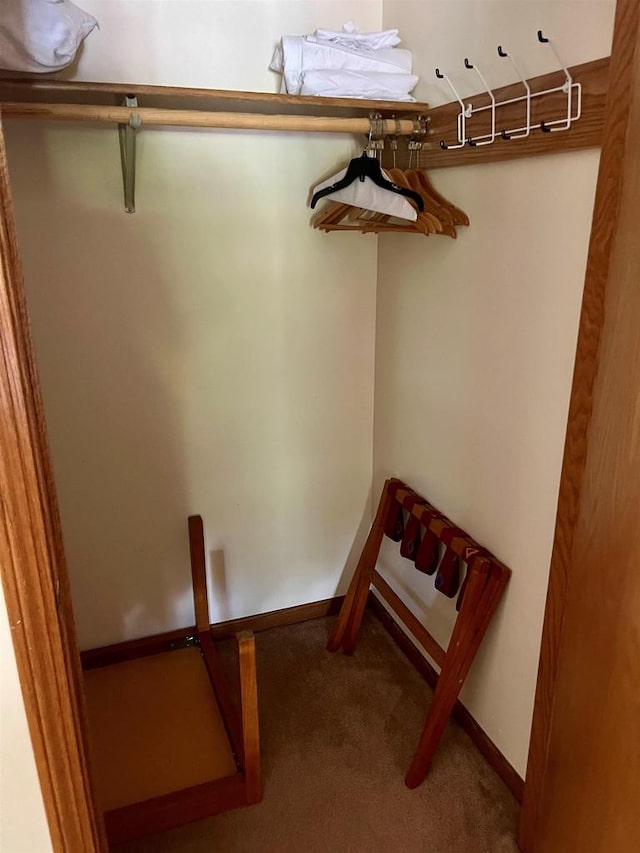 spacious closet featuring carpet