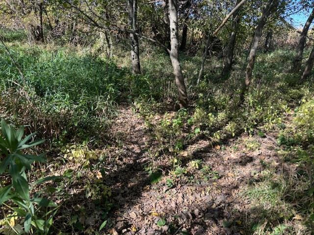 County Rd N, Argyle, WI 53504