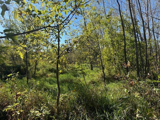 County Rd N, Argyle, WI 53504