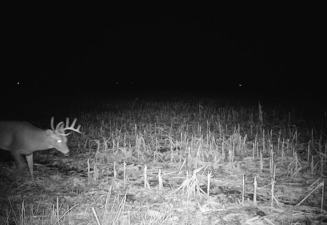 County Rd N, Argyle, WI 53504