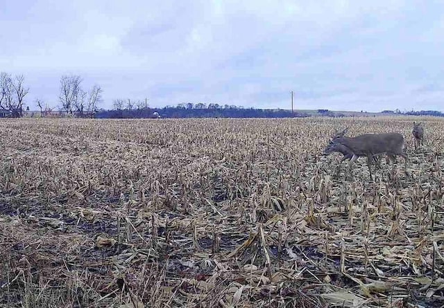 County Rd N, Argyle, WI 53504