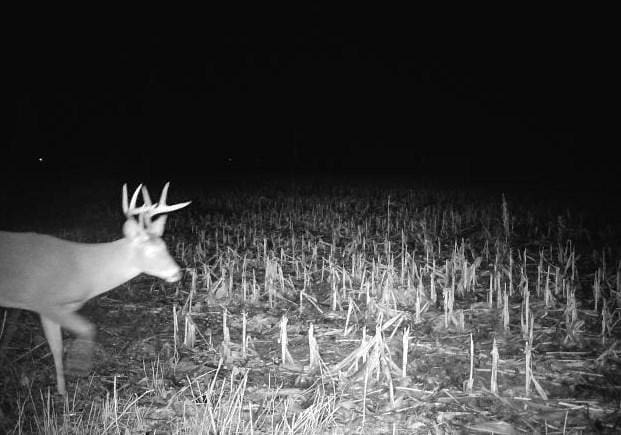County Rd N, Argyle, WI 53504