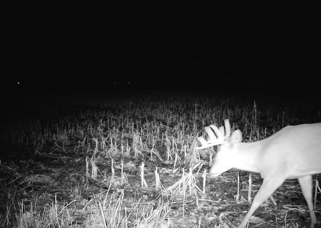 County Rd N, Argyle, WI 53504