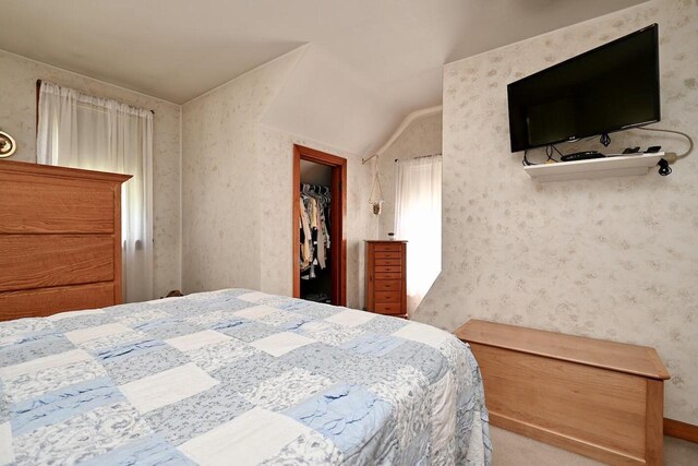 carpeted bedroom featuring lofted ceiling and a spacious closet