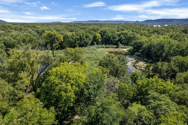 aerial view featuring a water and mountain view and a wooded view