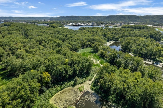 aerial view featuring a wooded view and a water and mountain view