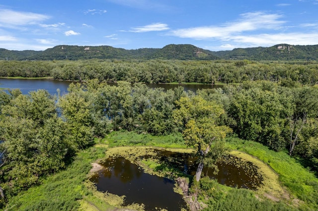 bird's eye view featuring a view of trees and a water and mountain view