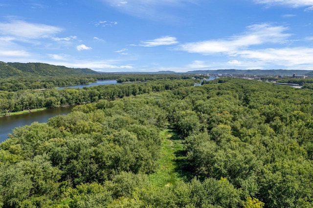 bird's eye view with a view of trees and a water view