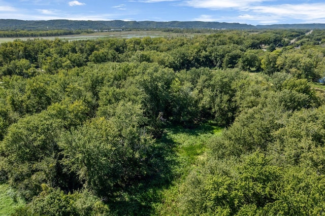 drone / aerial view featuring a mountain view and a wooded view