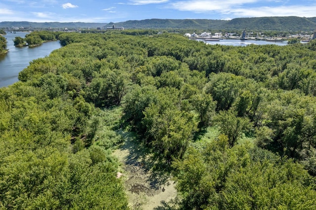 birds eye view of property with a wooded view and a water and mountain view