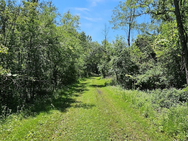 view of nature