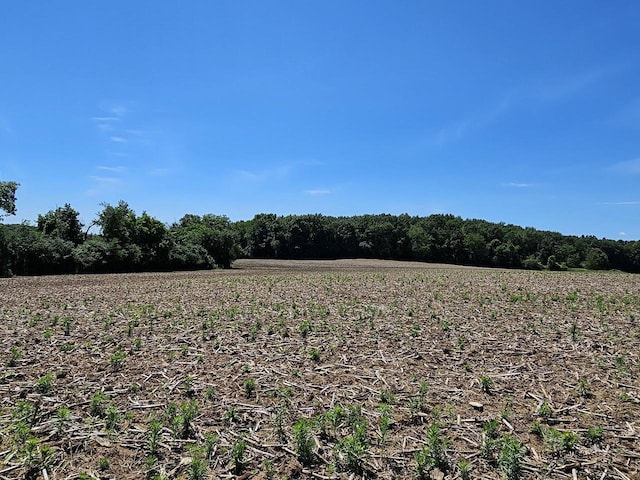 view of landscape featuring a rural view