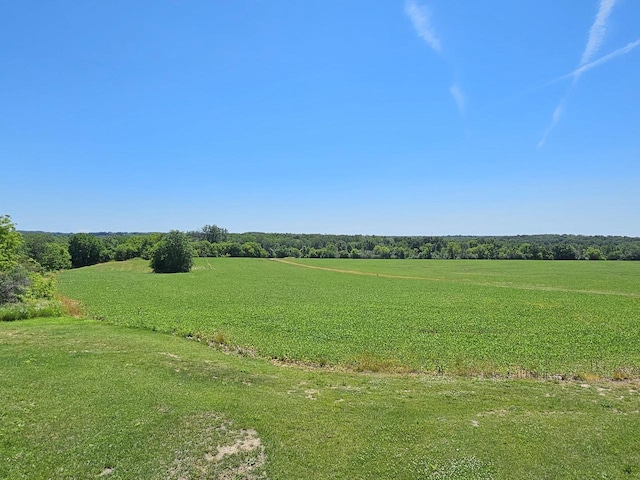 view of local wilderness with a rural view