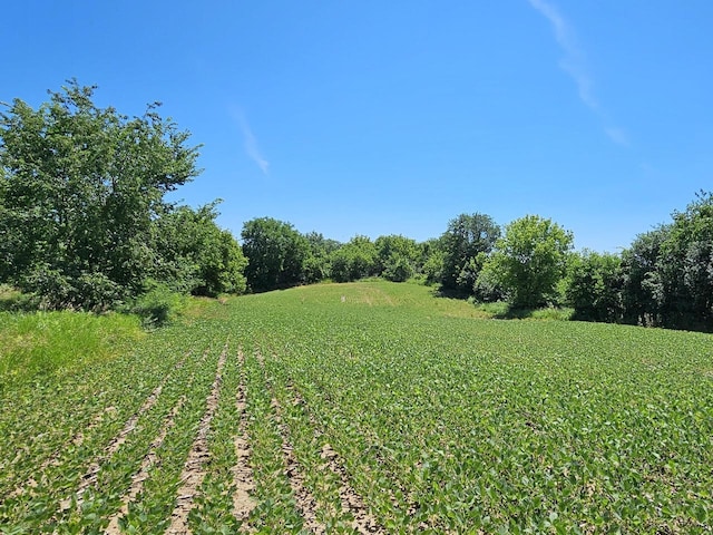 view of yard with a rural view