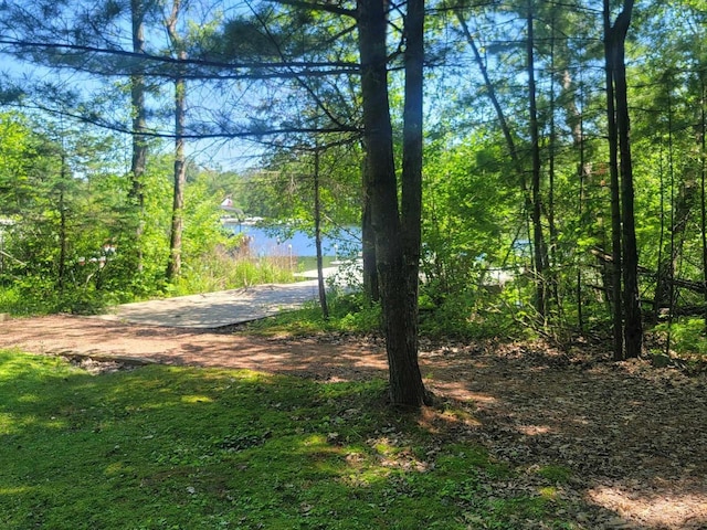 view of yard with a water view