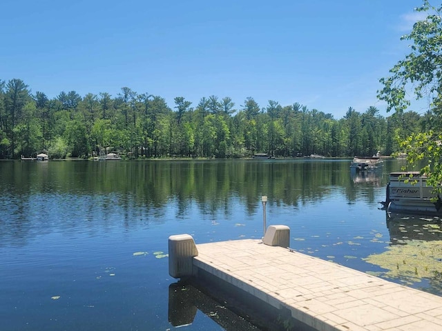 view of dock featuring a water view