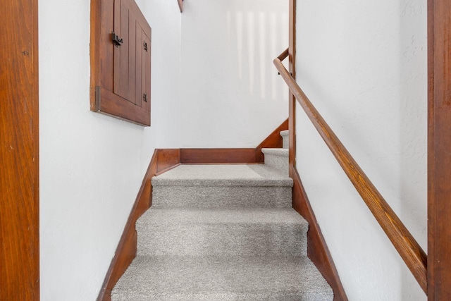 stairway featuring carpet floors