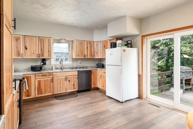 kitchen with plenty of natural light, sink, appliances with stainless steel finishes, and light hardwood / wood-style flooring