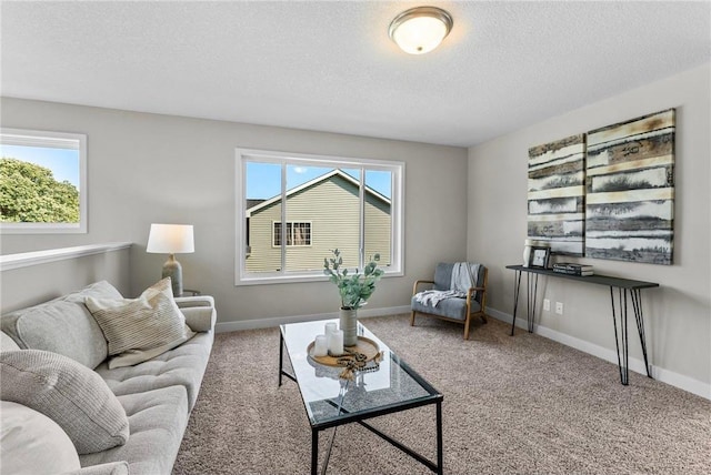 living room with carpet and a textured ceiling