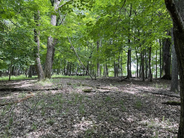 L148 Pine Cone Ln, La Valle WI, 53941 land for sale