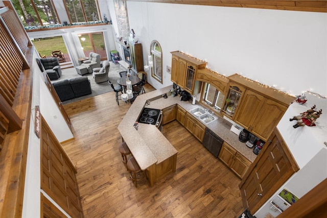 living room featuring wood-type flooring, vaulted ceiling, and sink