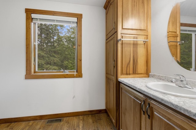 bathroom with hardwood / wood-style floors, vanity, and plenty of natural light