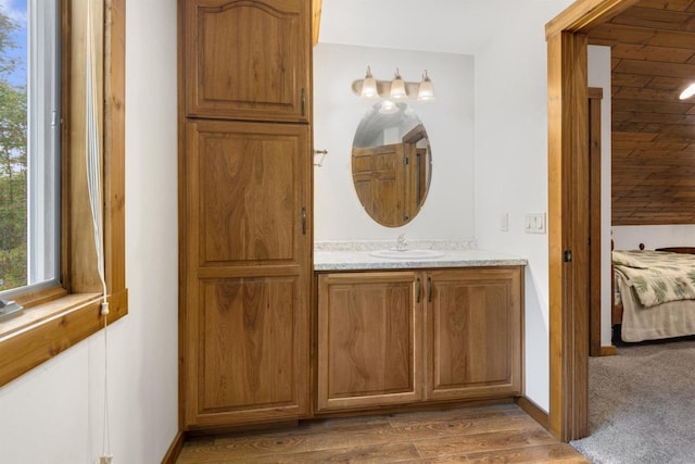 bathroom featuring vanity and wood-type flooring