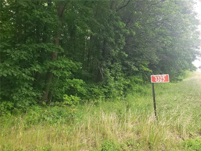 3325 State Highway 35, Frederic WI, 54837 land for sale