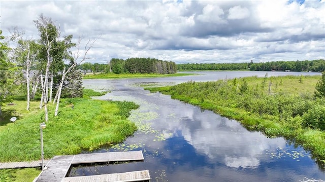 property view of water with a dock