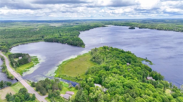 bird's eye view featuring a water view