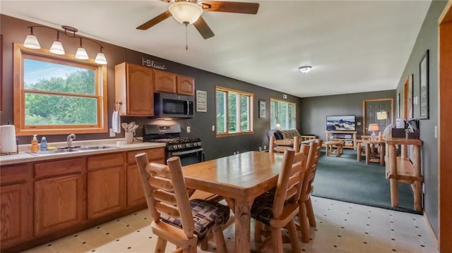 kitchen featuring ceiling fan, sink, and stainless steel appliances